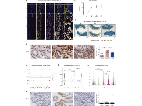 STTT| Tissue Cytometry